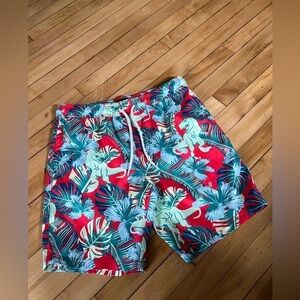 Valor tropical dinosaur swim trunks